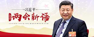 习近平2019两会新语